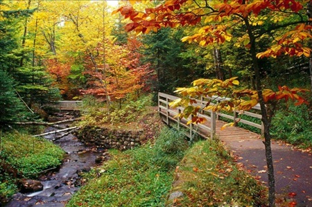 Với nhiều du
khách, mùa thu là khoảnh khắc đẹp nhất trong năm ở Cửu Trại Câu